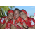 Team 117 / Raid Amazones Sri Lanka 2018 - J6 Trail