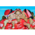 Team 150 / Raid Amazones Sri Lanka 2018 - J6 Trail