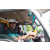 Raid Amazones Sri Lanka 2019 - Ambiance arrivÃ©e