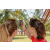 Team 12 / Raid Amazones Sri Lanka 2019
