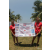 Team 19 / Raid Amazones Sri Lanka 2019