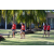 Team 19 / Raid Amazones Sri Lanka 2019