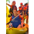 Team 09 / Raid Amazones Sri Lanka 2019