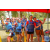 Team 44 / Raid Amazones Sri Lanka 2019