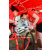 Team 30 / Raid Amazones Sri Lanka 2019