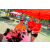 Team 09 / Raid Amazones Sri Lanka 2019