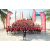 Raid Amazones Sri Lanka 2019