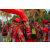 Team 105 / Raid Amazones Sri Lanka 2019 - J1 Trail