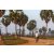 Raid Amazones Sri Lanka 2019 - J1 Trail