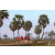 Raid Amazones Sri Lanka 2019 - J1 Trail