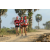Team 120 / Raid Amazones Sri Lanka 2019 - J1 Trail