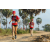 Team 04 / Raid Amazones Sri Lanka 2019 - J1 Trail