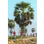 Team 08 / Raid Amazones Sri Lanka 2019 - J1 Trail
