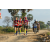 Team 03 / Raid Amazones Sri Lanka 2019 - J1 Trail