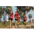 Team 18 / Raid Amazones Sri Lanka 2019 - J1 Trail