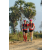 Team 12 / Raid Amazones Sri Lanka 2019 - J1 Trail