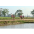Team 24 / Raid Amazones Sri Lanka 2019 - J1 Trail