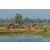Raid Amazones Sri Lanka 2019 - J1 Trail