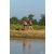 Team 120 / Raid Amazones Sri Lanka 2019 - J1 Trail