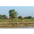 Team 105 / Raid Amazones Sri Lanka 2019 - J1 Trail