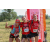 Team 120 / Raid Amazones Sri Lanka 2019 - J1 Trail