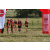 Team 09 / Raid Amazones Sri Lanka 2019 - J1 Trail
