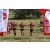 Team 135 / Raid Amazones Sri Lanka 2019 - J1 Trail