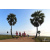 Team 107 / Raid Amazones Sri Lanka 2019 - J1 Trail