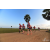 Team 107 / Raid Amazones Sri Lanka 2019 - J1 Trail