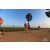 Team 103 / Raid Amazones Sri Lanka 2019 - J1 Trail