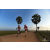 Team 105 / Raid Amazones Sri Lanka 2019 - J1 Trail
