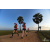 Team 105 / Raid Amazones Sri Lanka 2019 - J1 Trail