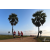 Team 01 / Raid Amazones Sri Lanka 2019 - J1 Trail