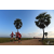 Team 01 / Raid Amazones Sri Lanka 2019 - J1 Trail