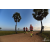 Team 101 / Raid Amazones Sri Lanka 2019 - J1 Trail