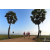 Team 120 / Raid Amazones Sri Lanka 2019 - J1 Trail
