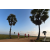 Team 111 / Raid Amazones Sri Lanka 2019 - J1 Trail