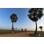 Team 111 / Raid Amazones Sri Lanka 2019 - J1 Trail