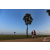 Team 09 / Raid Amazones Sri Lanka 2019 - J1 Trail