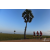Team 122 / Raid Amazones Sri Lanka 2019 - J1 Trail