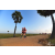 Team 14 / Raid Amazones Sri Lanka 2019 - J1 Trail