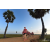 Team 18 / Raid Amazones Sri Lanka 2019 - J1 Trail