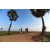 Team 143 / Raid Amazones Sri Lanka 2019 - J1 Trail
