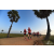 Team 26 / Raid Amazones Sri Lanka 2019 - J1 Trail