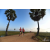 Team 38 / Raid Amazones Sri Lanka 2019 - J1 Trail