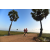 Team 36 / Raid Amazones Sri Lanka 2019 - J1 Trail