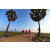 Team 47 / Raid Amazones Sri Lanka 2019 - J1 Trail