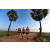Team 47 / Raid Amazones Sri Lanka 2019 - J1 Trail