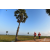 Team 44 / Raid Amazones Sri Lanka 2019 - J1 Trail