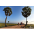 Team 29 / Raid Amazones Sri Lanka 2019 - J1 Trail